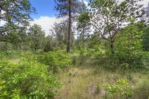 235 Cedar Flat Rd, Williams, OR 97544 photo 6