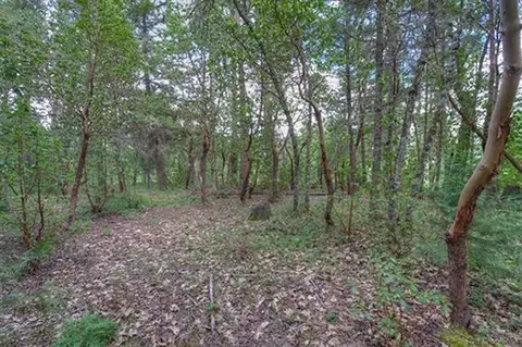 235 Cedar Flat Rd, Williams, OR 97544 photo 28