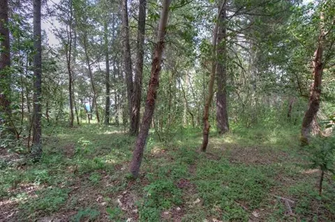 235 Cedar Flat Rd, Williams, OR 97544 photo 21