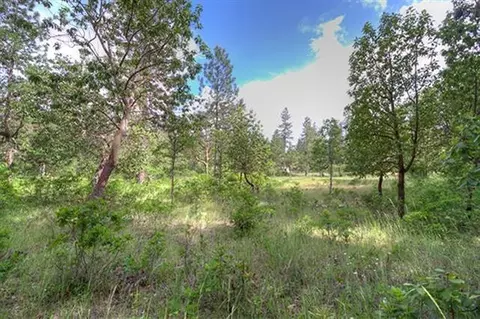 235 Cedar Flat Rd, Williams, OR 97544 photo 3