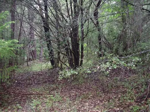 4020 Cedar Flat Rd, Williams, OR 97544 photo 4