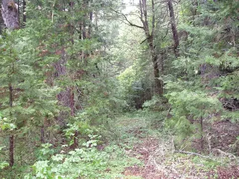 4020 Cedar Flat Rd, Williams, OR 97544 photo 2