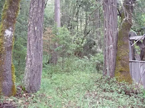 4020 Cedar Flat Rd, Williams, OR 97544 photo 5