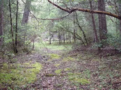 4020 Cedar Flat Rd, Williams, OR 97544 photo 1