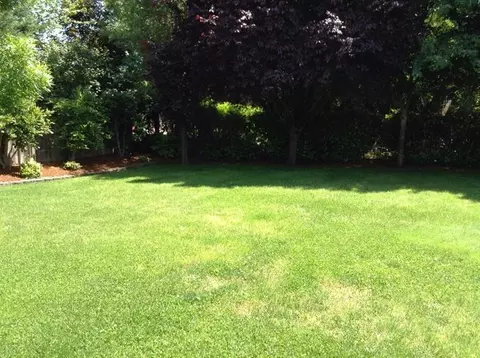 112 Vail Ct, Phoenix, OR 97535 photo 13