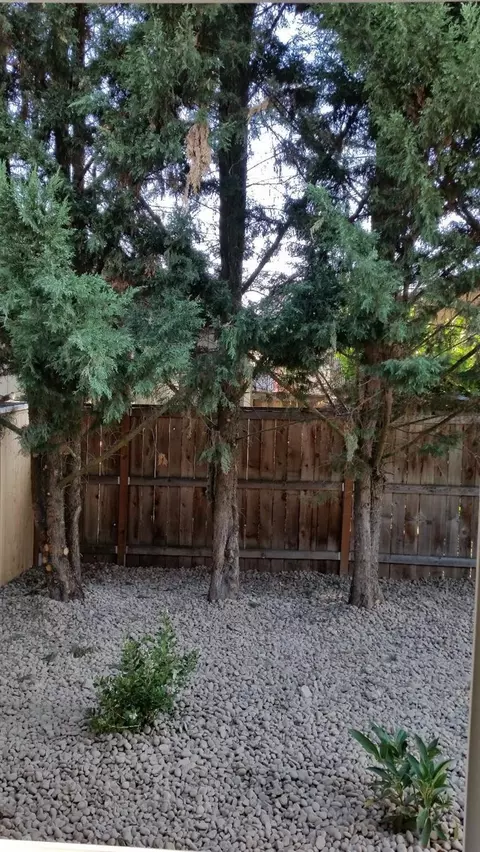 390 Live Oak Loop, Central Point, OR 97502 photo 7