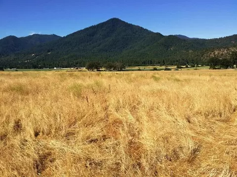 690 Applegate Rd, Jacksonville, OR 97530 photo 5