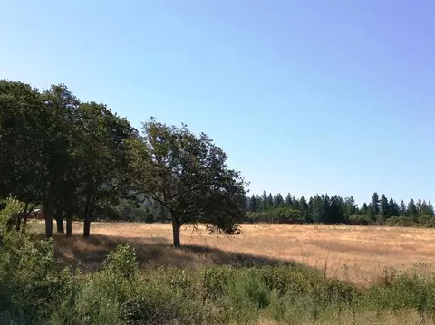 690 Applegate Rd, Jacksonville, OR 97530 photo 10