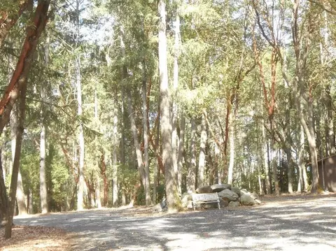 12350 Hwy 238, Applegate, OR 97530 photo 24