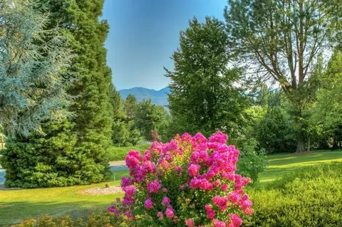 677 Towne St, Grants Pass, OR 97527 photo 6