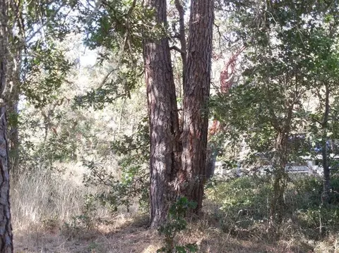 960 Messinger Rd, Grants Pass, OR 97527 photo 32