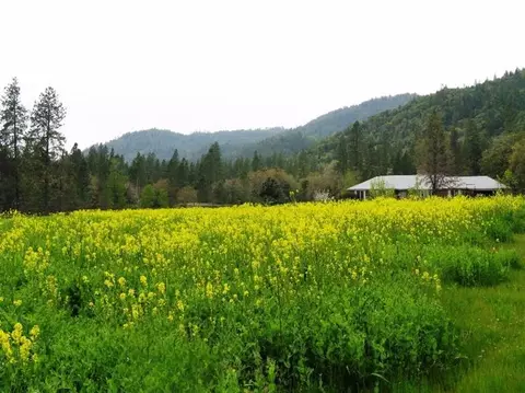 16282 Water Gap Rd, Williams, OR 97544 photo 14