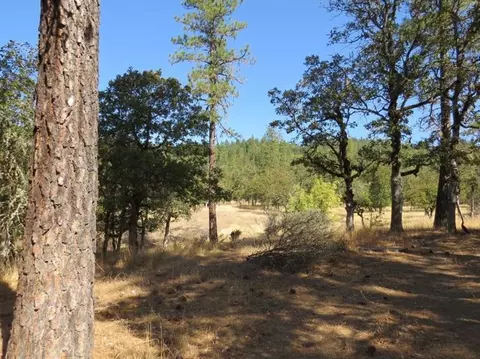 2320 Long Branch Rd, Eagle Point, OR 97524 photo 3