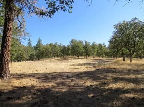 2320 Long Branch Rd, Eagle Point, OR 97524 photo 21