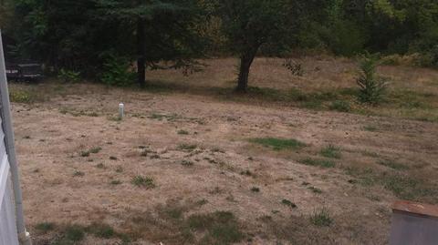 8388 Lower River Rd, Grants Pass, OR 97526 photo 5