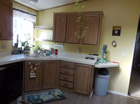 1650 Cedar Flat Rd, Williams, OR 97544 photo 8