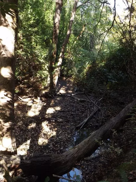 4840 Dick George Rd, Cave Junction, OR 97523 photo 16