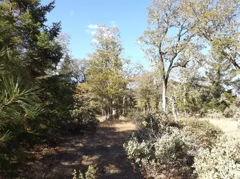 4840 Dick George Rd, Cave Junction, OR 97523 photo 17