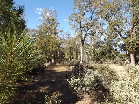 4840 Dick George Rd, Cave Junction, OR 97523 photo 18