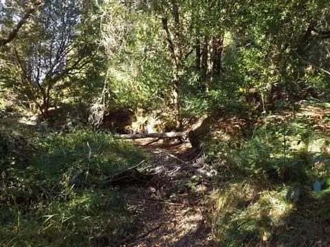 4840 Dick George Rd, Cave Junction, OR 97523 photo 15