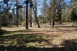 907 Stringer Gap Rd, Grants Pass, OR 97527 photo 23