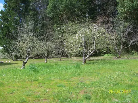 240 E River St, Cave Junction, OR 97523 photo 8
