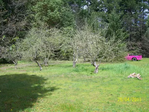 240 E River St, Cave Junction, OR 97523 photo 10