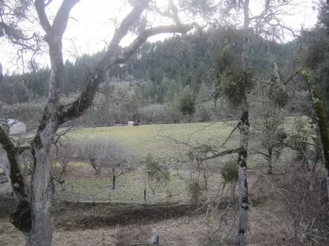 6000 Thompson Creek Rd, Applegate, OR 97530 photo 9
