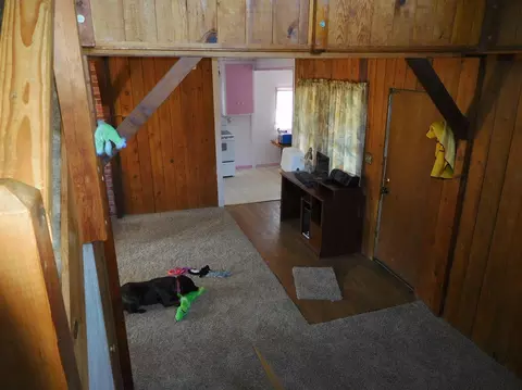 5151 Holland Loop Rd, Cave Junction, OR 97523 photo 15