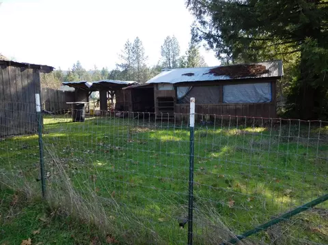 5151 Holland Loop Rd, Cave Junction, OR 97523 photo 5