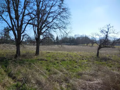 92 Hidden Valley Rd, Eagle Point, OR 97524 photo 4