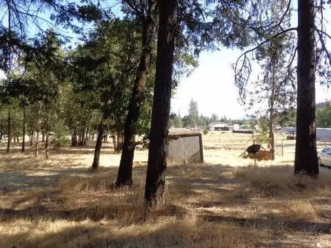 260 Long Branch Rd, Eagle Point, OR 97524 photo 34