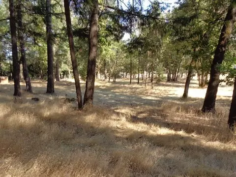 260 Long Branch Rd, Eagle Point, OR 97524 photo 33