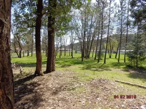 260 Long Branch Rd, Eagle Point, OR 97524 photo 18