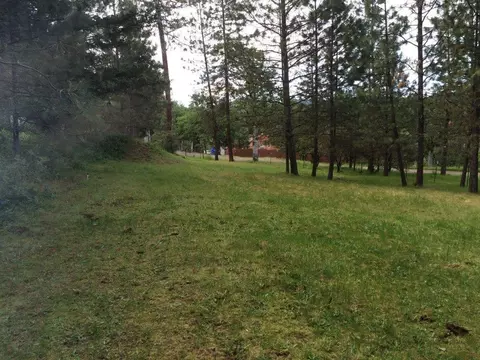 203 Kitty Dr, Eagle Point, OR 97524 photo 12