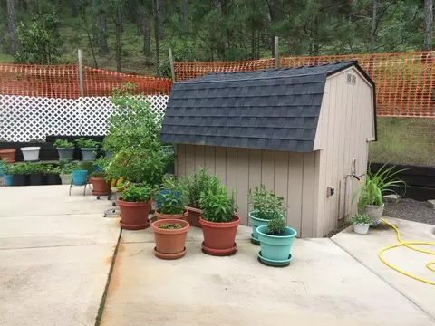 203 Kitty Dr, Eagle Point, OR 97524 photo 3