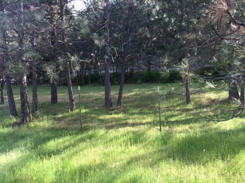 203 Kitty Dr, Eagle Point, OR 97524 photo 21