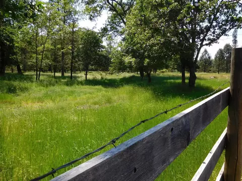 5685 Holland Loop Rd, Cave Junction, OR 97523 photo 19