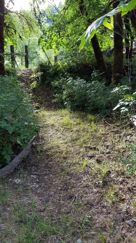 18818 Evans Creek Rd, Rogue River, OR 97537 photo 8