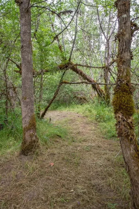 18818 Evans Creek Rd, Rogue River, OR 97537 photo 30
