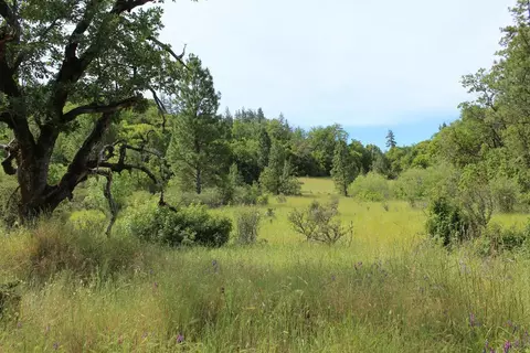 357 Rail Ln, Cave Junction, OR 97523 photo 20