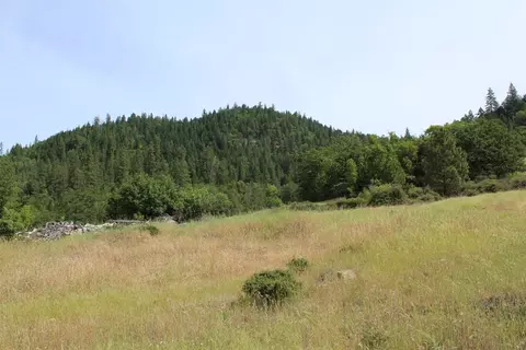 357 Rail Ln, Cave Junction, OR 97523 photo 19