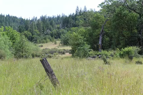 357 Rail Ln, Cave Junction, OR 97523 photo 16