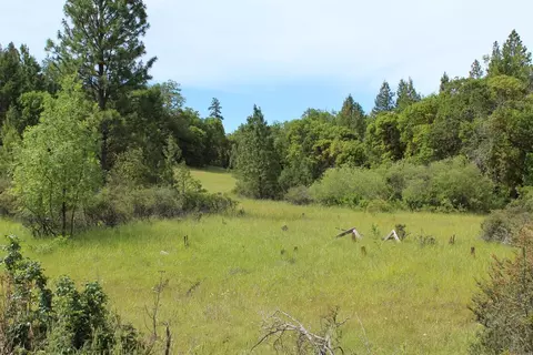 357 Rail Ln, Cave Junction, OR 97523 photo 2
