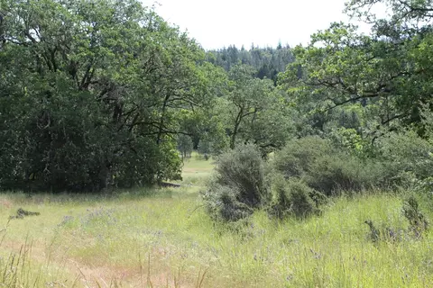 357 Rail Ln, Cave Junction, OR 97523 photo 11