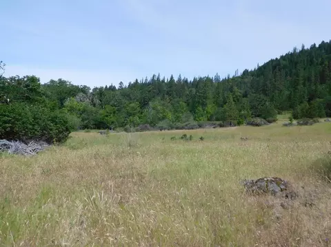 357 Rail Ln, Cave Junction, OR 97523 photo 7