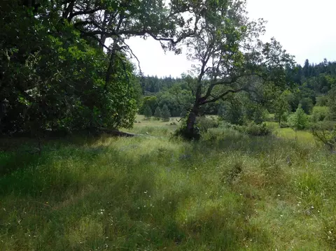 357 Rail Ln, Cave Junction, OR 97523 photo 13