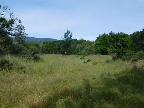 357 Rail Ln, Cave Junction, OR 97523 photo 10