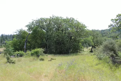 357 Rail Ln, Cave Junction, OR 97523 photo 21