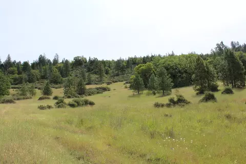 357 Rail Ln, Cave Junction, OR 97523 photo 17